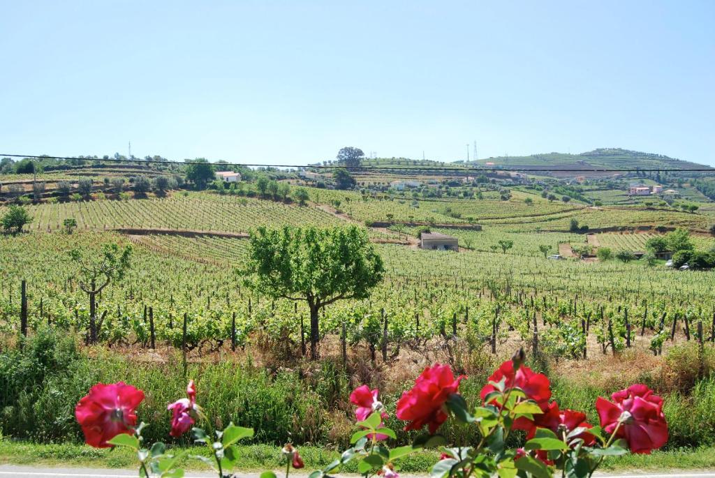 Hotel Quinta De Tourais Lamego Exteriér fotografie
